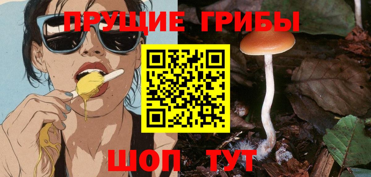 Галлюциногенные грибы прущие грибы  Вход с VPN  Йошкар-Ола 